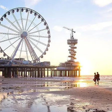 Zeta Beds デン・ハーグ